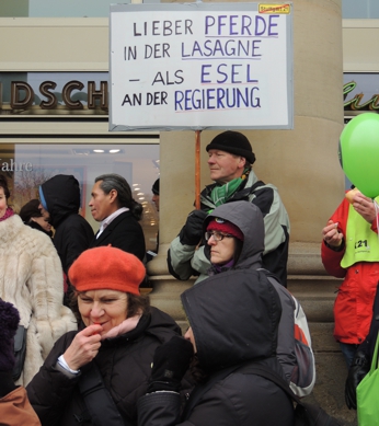 23.2.2013: Keine Esel in der Regierung!