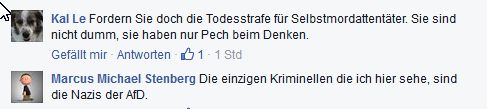 Facebook-Kommentare zu Beatrix von Storch AfD