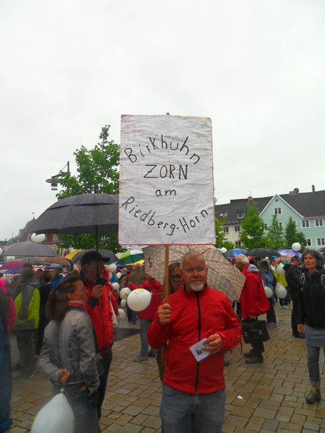 Kempten, 12.8.17: Proteste gegen Ski-Schaukel